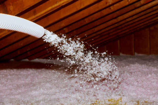 Best Specialized Insulation Services in Joseph City, AZ