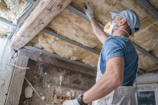 Best Spray Foam Insulation in Joseph City, AZ